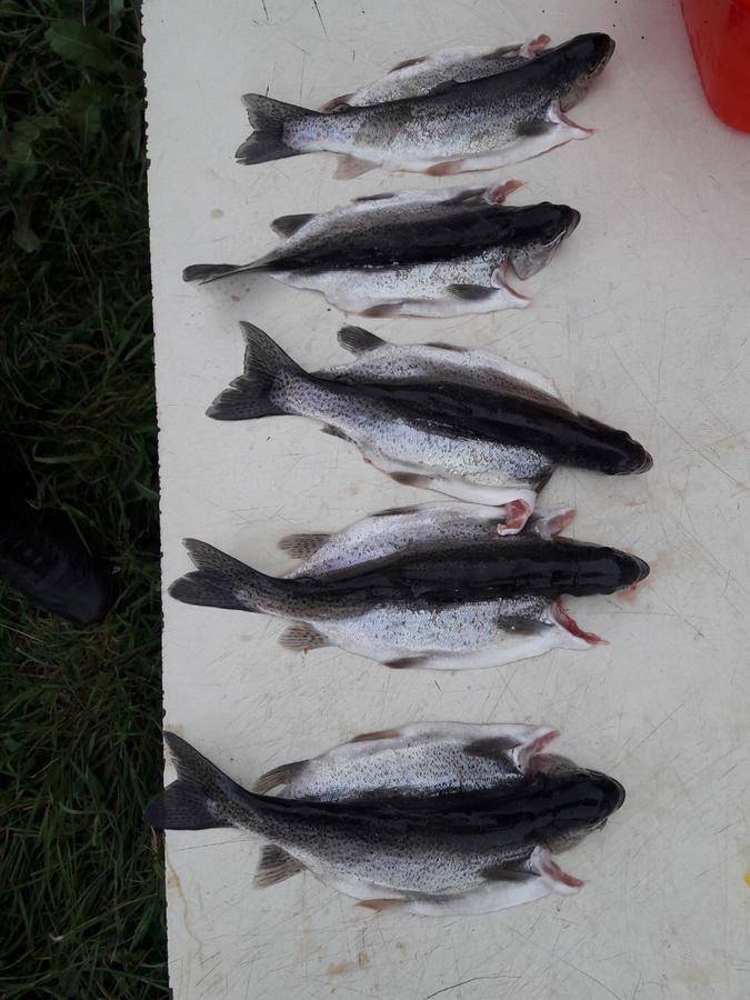 Fish Hotel Akhalkalaki 外观 照片